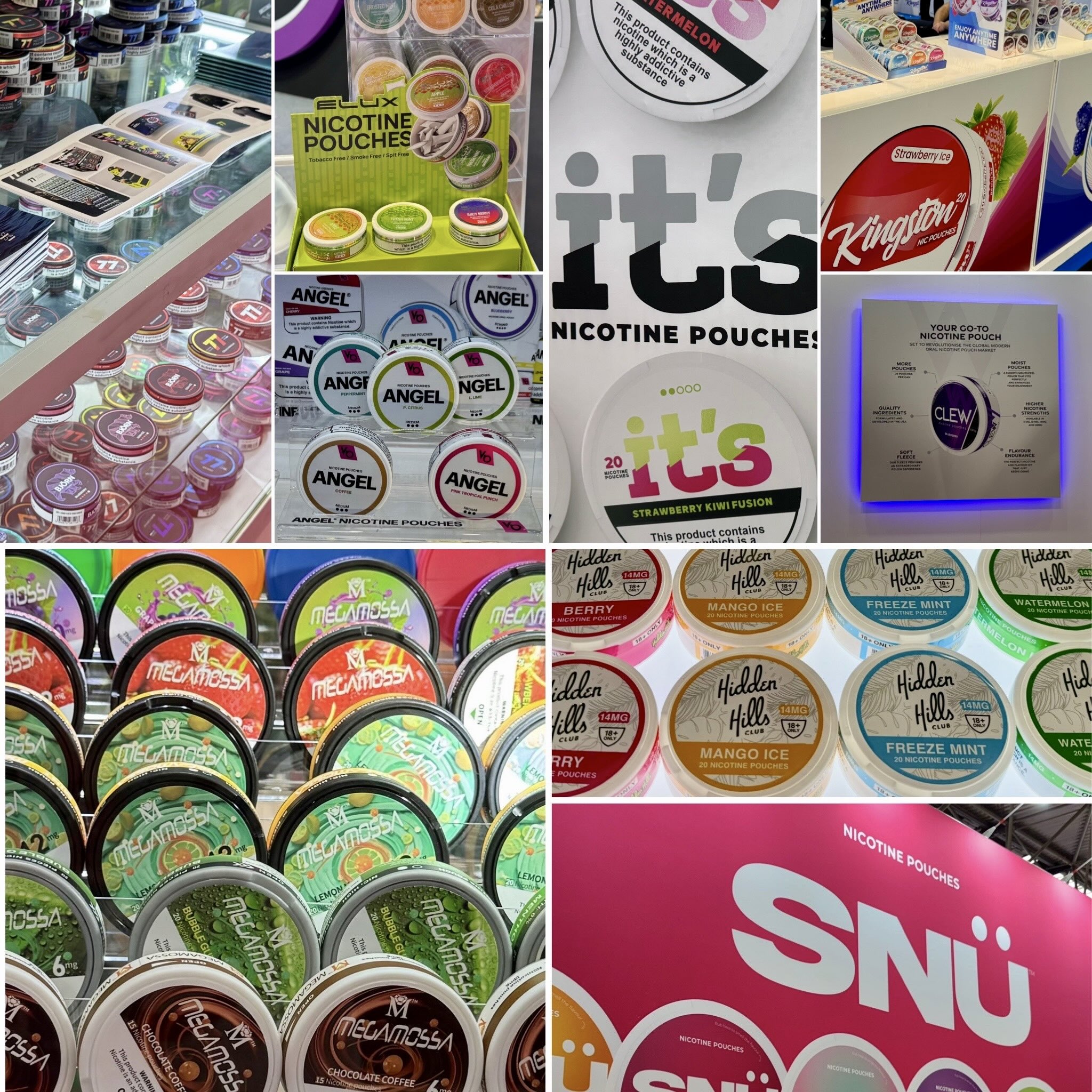 Nicotine pouch brands on display at The Vaper Expo 2024